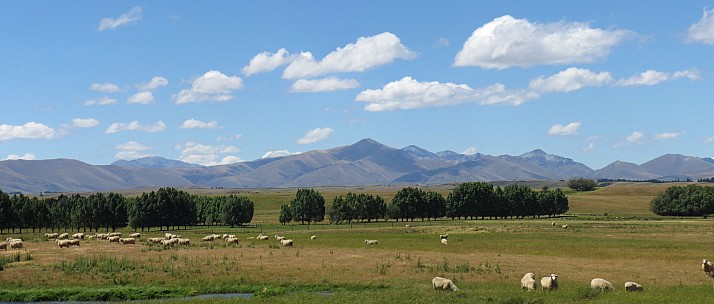 2014-12-31 15.08.19 IMG_3479 Anne - Mt Ida Range and Danseys pass_stitch.jpg: 7418x3157, 2117k (2015 Jan 17 09:51)