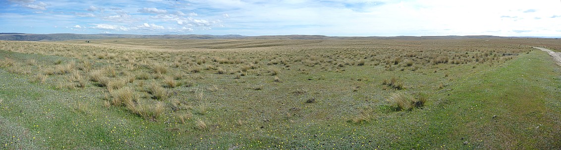 2015-01-01 17.07.00 Panorama Simon - Lake Onslow Road landscape_stitch.jpg: 10707x2876, 8164k (2015 Jan 17 08:55)