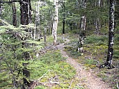 Ag P 1010120
;&nbsp;Metadata time: '2006 Apr 21 15:54'
Original size:&nbsp;2,304 x 1,728; 1,524 kB
Filename: agP1010120.jpeg