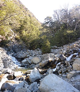 Fork in upper Gosling Stream
Photo: Simon
2015-10-03 16.09.54; '2015 Oct 03 16:09'
Original size: 4,421 x 5,048; 22,913 kB; stitch
2015-10-03 16.09.54 Panorama Simon - fork in upper Gosling Stream_stitch.jpg