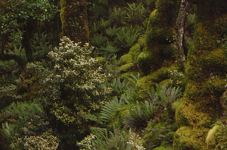 14  42 04-pc-Bush
2007-09-01;&nbsp;Metadata time: '2007 Sept 01 14:42'
Original size:&nbsp;1,280 x 846; 829 kB
Filename: 2007-09-01 14.42.04-pc-Bush.jpeg