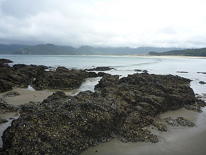 2012-12-30 17.04.54 P1040524 Simon - Whangapoua Beach.jpeg: 4000x3000, 5714k (2012 Dec 30 17:04)