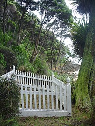 Moanauriuri Bay SS Wairarapa graves
Photographer;&nbsp;Simon
2012-12-30&nbsp;18.17.23;&nbsp;Metadata time: '2012 Dec 30 18:17'
Original size:&nbsp;3,000 x 4,000; 5,944 kB
Filename: 2012-12-30 18.17.23 P1040540 Simon - Moanauriuri Bay SS Wairarapa graves.jpeg