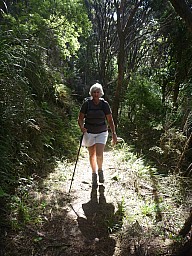 Anne on Harataonga track
Photo: Simon
2012-12-31 16.25.23; '2012 Dec 31 16:25'
Original size: 3,000 x 4,000; 5,722 kB
2012-12-31 16.25.23 P1040557 Simon - Anne on Harataonga track.jpeg