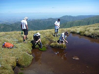 Tarn at Toka
Photo: Simon
2013-01-26 15.30.41; '2013 Jan 26 15:30'
Original size: 4,000 x 3,000; 6,649 kB
2013-01-26 15.30.41 P1040651 Simon - tarn at Toka.jpeg