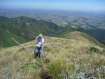 Looking back down spur Patrick
Photographer;&nbsp;Simon
2013-01-26&nbsp;12.54.14;&nbsp;Metadata time: '2013 Jan 26 12:54'
Original size:&nbsp;4,000 x 3,000; 7,107 kB
Filename: 2013-01-26 12.54.14 P1040644 Simon - looking back down spur Patrick.jpeg