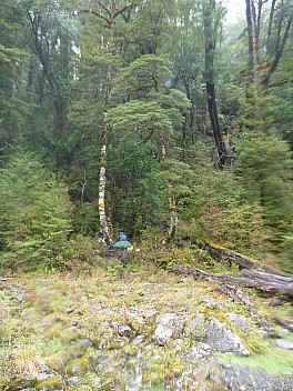 Lunch at the foot of the track out of the Waiheke River
Photo: Simon
2013-04-24 12.07.17; '2013 Apr 24 12:07'
Original size: 3,000 x 4,000; 5,795 kB
2013-04-24 12.07.17 P1050064 Simon - Lunch at the foot of the track out of the Waiheke River.jpeg Lunch at the foot of the track out of the Waiheke River
Photo: Simon
2013-04-24 12.07.17; '2013 Apr 24 12:07'
Original size: 3,000 x 4,000; 5,795 kB
2013-04-24 12.07.17 P1050064 Simon - Lunch at the foot of the track out of the Waiheke River.jpeg
