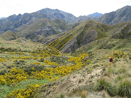 Descending from Palmer Saddle
Photographer;&nbsp;Brian
2013-11-16&nbsp;10.28.33;&nbsp;Metadata time: '2013 Nov 16 10:28'
Original size:&nbsp;3,072 x 2,304; 1,383 kB
Filename: 2013-11-16 10.28.33 IMG_2975 Brian - descending from Palmer Saddle.jpeg