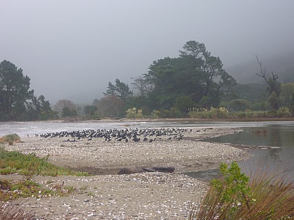 Pakawau
Photographer;&nbsp;Simon
2014-04-18&nbsp;12.34.04;&nbsp;Metadata time: '2014 Apr 18 12:34'
Original size:&nbsp;4,000 x 3,000; 6,499 kB
Filename: 2014-04-18 12.34.04 P1000506 Simon - Pakawau.jpeg