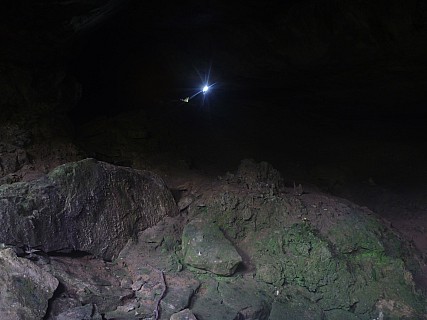 Loggers
Photographer;&nbsp;Simon
2014-04-20&nbsp;15.20.28;&nbsp;Metadata time: '2014 Apr 20 15:20'
Original size:&nbsp;4,000 x 3,000; 4,522 kB
Filename: 2014-04-20 15.20.28 P1000573 Simon - Loggers.jpeg