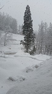 Alupu Lodge - outside bedroom
Photo: Jim
2015-02-18 08.22.55; '2015 Feb 18 08:22'
Original size: 2,976 x 5,312; 5,096 kB
2015-02-18 08.22.55 Jim - Alupu Lodge - outside bedroom.jpeg