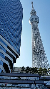 2015-02-19 12.39.36 Jim - Skytree.jpeg: 2976x5312, 5159k (2015 Jun 28 11:10)