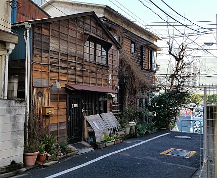 Minato hold out against development
Photographer;&nbsp;Jim
2015-02-19&nbsp;09.04.08;&nbsp;Metadata time: '2015 Feb 19 09:04'
Original size:&nbsp;3,644 x 2,988; 3,805 kB;&nbsp;cr
Filename: 2015-02-19 09.04.08 Jim - Minato hold out against development_cr.jpeg