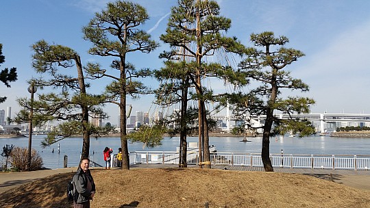 2015-02-07 11.19.30 Jim - Tokyo - in around Odaiba Park - Simon and supported tree.jpeg: 5312x2988, 7448k (2015 Feb 21 21:45) 2015-02-07 11.19.30 Jim - Tokyo - in around Odaiba Park - Simon and supported tree.jpeg: 5312x2988, 7448k (2015 Feb 21 21:45)