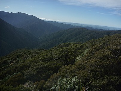 2015-07-05 11.36.14 P1020001 Simon - view from Neill Ridge down Neill Spur into Neill Creek.jpeg: 4000x3000, 5892k (2015 Nov 04 18:35) 2015-07-05 11.36.14 P1020001 Simon - view from Neill Ridge down Neill Spur into Neill Creek.jpeg: 4000x3000, 5892k (2015 Nov 04 18:35)