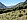 Leaving Bush Line
Photographer;&nbsp;Brian
2016-01-04&nbsp;11.47.26;&nbsp;Metadata time: '2016 Jan 04 11:47'
Original size:&nbsp;4,000 x 3,000; 4,786 kB
Filename: 2016-01-04 11.47.26 P1000104 Brian - leaving bush line.jpeg