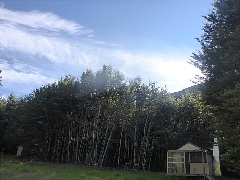 2016-01-08 08.47.09 P1000370 Simon - Top Dingle Burn Hut in the morning.jpeg: 4608x3456, 5825k (2016 Jan 08 08:47)