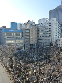 Cemetery
Photographer;&nbsp;Simon
2016-03-03&nbsp;08.34.16;&nbsp;Metadata time: '2016 Mar 03 08:34'
Original size:&nbsp;3,456 x 4,608; 5,250 kB
Filename: 2016-03-03 08.34.16 P1000848 Simon - cemetery.jpeg
