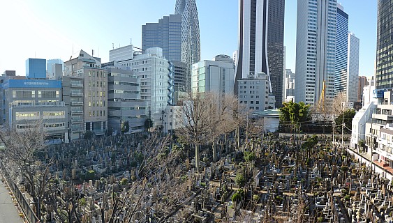 Cemetery
Photographer;&nbsp;Simon
2016-03-03&nbsp;08.34.16;&nbsp;Metadata time: '2016 Mar 03 08:34'
Original size:&nbsp;7,510 x 4,271; 28,750 kB;&nbsp;stitch
Filename: 2016-03-03 08.34.16 P1000848 Simon - cemetery_stitch.jpg