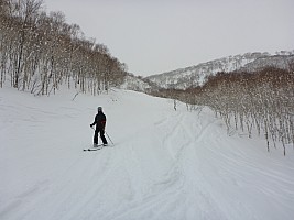 Skiing Hirafu