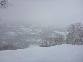 Skiing Niseko