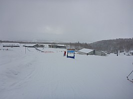 Skiing Niseko