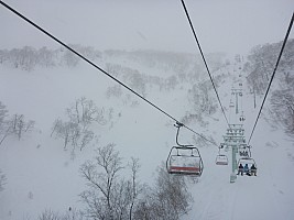 Skiing Niseko