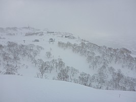 Skiing Niseko