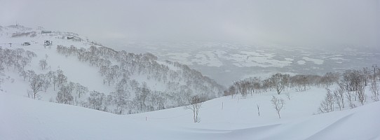 Skiing Niseko