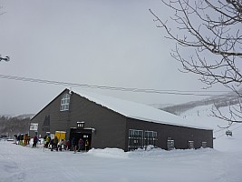 Skiing Niseko