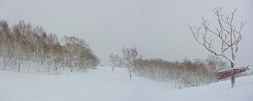 Skiing Niseko