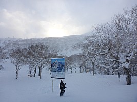 Skiing Niseko