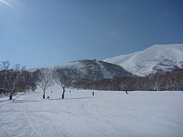 Skiing Niseko