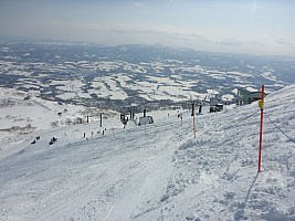 Skiing Niseko