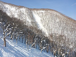Skiing Niseko