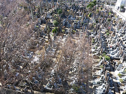 View From Our Window
Photographer;&nbsp;Simon
2016-03-01&nbsp;09.30.07;&nbsp;Metadata time: '2016 Mar 01 09:30'
Original size:&nbsp;4,608 x 3,456; 6,429 kB
Filename: 2016-03-01 09.30.07 P1000732 Simon - view from our window.jpeg