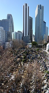View From Our Window Stitch Straight
Photographer;&nbsp;Simon
2016-03-01&nbsp;09.30.08;&nbsp;Metadata time: '2016 Mar 01 09:30'
Original size:&nbsp;4,376 x 8,250; 39,744 kB;&nbsp;{i:2;}
Filename: 2016-03-01 09.30.08 Panorama Simon - view from our window_stitch_straight.jpg