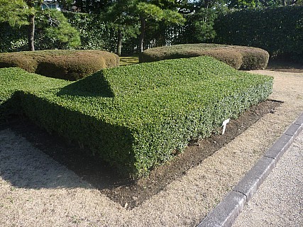 Imperial hedges
Photographer;&nbsp;Adrian
2016-03-01&nbsp;15.05.37;&nbsp;Metadata time: '2016 Mar 01 15:05'
Original size:&nbsp;4,000 x 3,000; 7,364 kB
Filename: 2016-03-01 15.05.37 P1020341 Adrian - Imperial hedges.jpeg