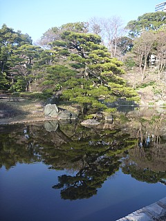 Lake And Tree
Photographer;&nbsp;Adrian
2016-03-01&nbsp;16.02.29;&nbsp;Metadata time: '2016 Mar 01 16:02'
Original size:&nbsp;3,000 x 4,000; 5,567 kB
Filename: 2016-03-01 16.02.29 P1020369 Adrian - lake and tree.jpeg