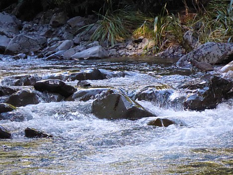 Whio
Photographer;&nbsp;Simon
2016-10-29&nbsp;08.53.00;&nbsp;Metadata time: '2016 Oct 29 08:53'
Original size:&nbsp;3,221 x 2,416; 2,646 kB;&nbsp;cr
Filename: 2016-10-29 08.53.00 P1010036 Simon - Whio_cr.jpg