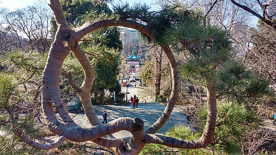 2017-01-11 13.05.28 IMG_20170111_130527747_HDR Simon - view from Kiyimizu Kannon-do to Benten Hall.jpeg: 4160x2340, 3642k (2017 Jan 11 17:09)