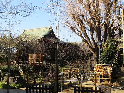 2017-01-11 13.23.53 IMG_8234 Anne - Hanazono Inari Shrine.jpeg: 4608x3456, 8426k (2017 Jan 26 18:34)