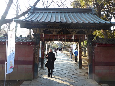2017-01-11 15.00.21 P1010188 Simon - Anne at entrance to Toshogu Shrine.jpeg: 4608x3456, 6481k (2017 Jan 26 19:13)
