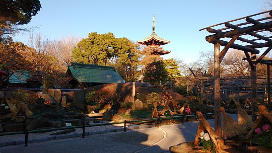 2017-01-11 15.19.03 IMG_20170111_151903539 Simon - Ueno Toshogu Peony Garden and Pagoda.jpeg: 4160x2340, 2106k (2017 Jan 11 19:22)