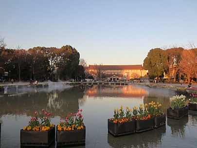 2017-01-11 16.09.38 IMG_8294 Anne - Grand Fountain and Tokyo National Museum.jpeg: 4608x3456, 4917k (2017 Jan 26 18:34) 2017-01-11 16.09.38 IMG_8294 Anne - Grand Fountain and Tokyo National Museum.jpeg: 4608x3456, 4917k (2017 Jan 26 18:34)