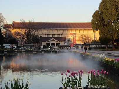 2017-01-11 16.10.13 IMG_8295 Anne - Grand Fountain and Tokyo National Museum.jpeg: 4608x3456, 6237k (2017 Jan 26 18:34) 2017-01-11 16.10.13 IMG_8295 Anne - Grand Fountain and Tokyo National Museum.jpeg: 4608x3456, 6237k (2017 Jan 26 18:34)