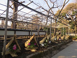 Tōkyō, Ueno
