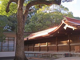 Tōkyō, Yanaka, Shinjuku