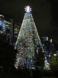 2017-01-13 17.40.29 IMG_8471 Anne - Odaiba illuminated tree.jpeg: 3456x4608, 6276k (2017 Jan 26 18:34)