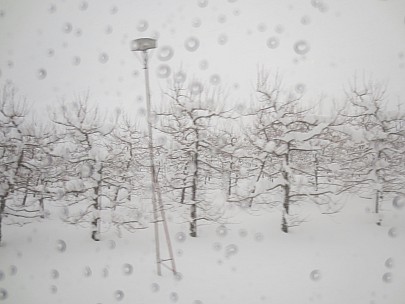 2017-01-15 14 Jigokudani 14.01.25 IMG_8598 Anne - view from bus, apple trees.jpeg: 4608x3456, 3981k (2017 Jan 26 18:35) 2017-01-15 14 Jigokudani 14.01.25 IMG_8598 Anne - view from bus, apple trees.jpeg: 4608x3456, 3981k (2017 Jan 26 18:35)